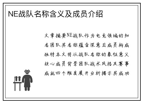 NE战队名称含义及成员介绍